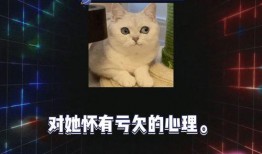 吃瓜 娱乐新闻在线观看,吃瓜娱乐新闻，在线观看最新热点