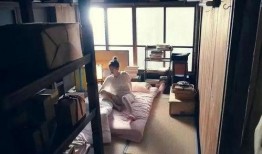 合租屋在线观看,揭秘现代都市生活下的邻里情谊与冲突