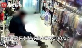 广东探店爆料事件视频,揭秘热门美食背后的真相