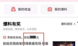 今日头条爆料怎么发视频,如何轻松制作热门短视频