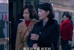 带妈妈回家在线观看,温情回忆与亲情之旅