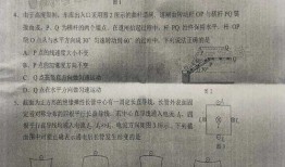 惠子直播爆料最新消息是真的吗,最新消息真实性揭秘