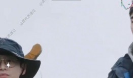 娱乐吃瓜视频完整,吃瓜群众视角下的明星幕后故事
