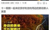 头条内蒙古新闻爆料,最新爆料揭示惊人真相！