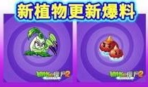 最新 植物爆料视频播放,最新爆料视频带你领略生命奇迹