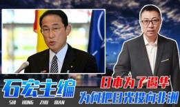 爆料日本首相视频大全播放,视频大全播放背后的真相与争议