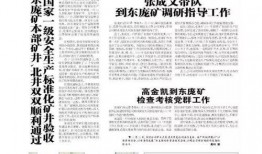 电网领导爆料新闻稿件,新闻背后的真相与挑战