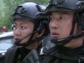 白虹突击队在线观看,在线观看，揭秘神秘特种部队的传奇征程