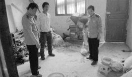 温县网红吃瓜事件始末,一场网络狂欢背后的真相与反思