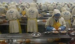 剥虾工人爆料视频大全下载,揭秘幕后辛酸与行业真相