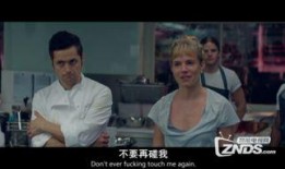 燃情主厨在线观看,烹饪激情，味蕾盛宴