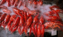 爆料麻辣小龙虾下线视频,揭秘背后真相