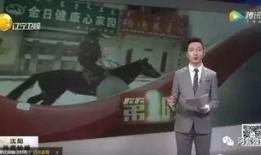小马哥爆料视频大全最新,揭秘娱乐圈幕后真相