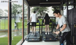 未来之翼最新爆料电话,神秘电话揭示惊天秘密