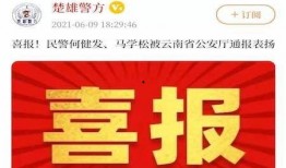 楚雄新闻头条怎么爆料的,揭秘背后惊人真相！