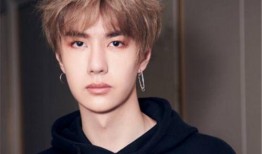 王一博爆料热巴视频,网友热议