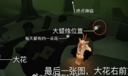 光遇六月爆肝日最新爆料,揭秘全新内容与神秘活动