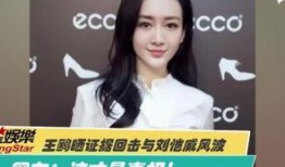 陈晨最新爆料消息视频,揭秘事件背后惊人真相