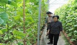 滕州吃瓜最新事件爆料是真的吗,真相揭秘还是网络谣言？