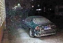 珠海网友爆料最新