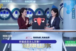 山东在线直播观看,全景体验齐鲁文化魅力