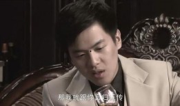 黑狐在线观看第1集,神秘组织初露端倪，卧底行动拉开序幕