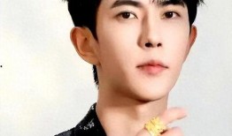 最近爆料娱乐圈男明星,揭秘近期爆料背后的真相