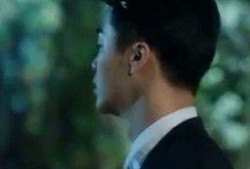 不可抗力2电影在线观看