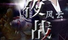 夜战在线观看,暗夜激战，生死较量