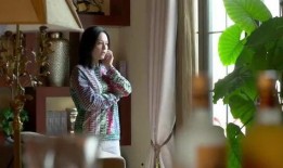 继子爆料母亲视频播放网站,母亲视频意外曝光，揭秘背后播放网站之谜