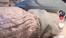 韩安冉最近爆料泽西视频