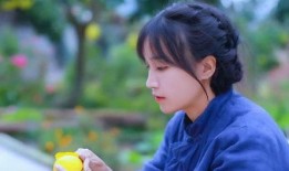 爆料大王李子柒视频,传统农耕与现代艺术的完美融合