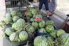 武都网红吃瓜事件