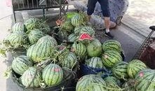 武都网红吃瓜事件