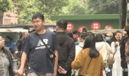 温县网红吃瓜事件始末,一场网络狂欢背后的真相与反思