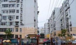 山东路家乐福最新爆料,揭秘神秘促销活动与独家优惠信息