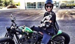 扒爷爆料机车女神视频,机车女神视频背后的故事与魅力