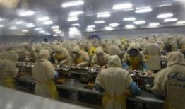 剥虾工人爆料视频大全下载,揭秘幕后辛酸与行业真相