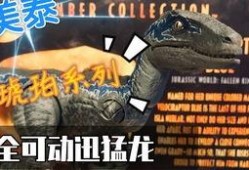 迅猛龙爆料视频,独家爆料视频带你领略恐龙世界