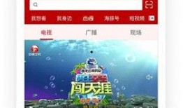 安徽电视台直播在线观看,实时掌握精彩瞬间，畅享视听盛宴