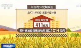 最新爆料农发行,揭秘农业发展银行改革新篇章”