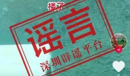 深圳新闻爆料热线公众号,聚焦城市脉搏，倾听市民声音