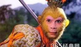 娱乐吃瓜酱孙悟空