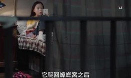 瓜姐最新爆料秘密视频在线观看,最新秘密视频在线观看，带你一探究竟！