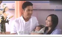 铲屎官与娱乐爆料君,揭秘宠物界与娱乐圈的跨界风云