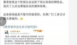 墨茶事件爆料视频,揭秘网络红人背后的真相与争议