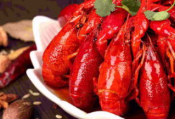 龙虾最新爆料视频大全,揭秘幕后真相，精彩瞬间大盘点