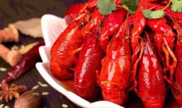 龙虾最新爆料视频大全,揭秘幕后真相，精彩瞬间大盘点