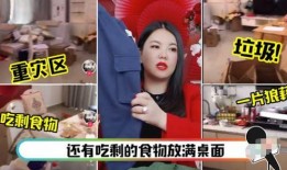 冰嫂直播爆料事件视频,揭秘背后真相与争议