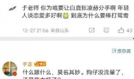 娱乐圈爆料张凌赫事件,娱乐圈风波再起，真相扑朔迷离